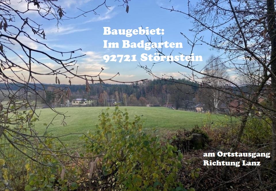 2021 Baugebiet Im Badgarten